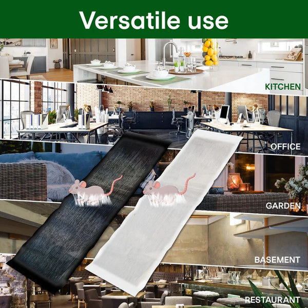 EcoTrap – Große Klebefalle für Mäuse | 1+1 GRATIS