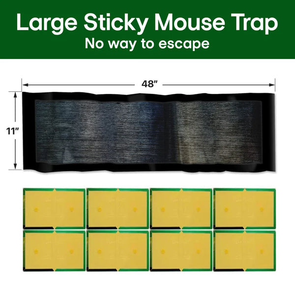 EcoTrap – Große Klebefalle für Mäuse | 1+1 GRATIS
