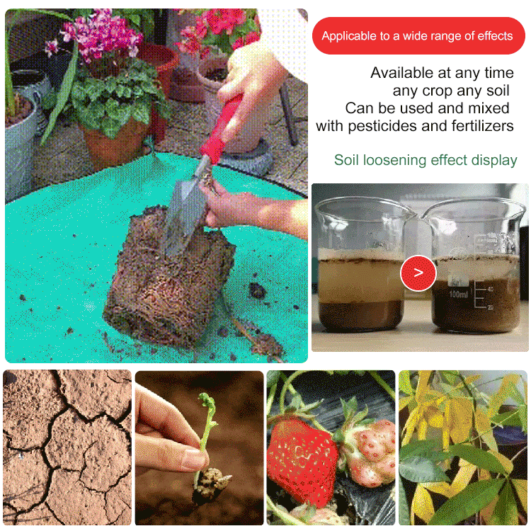 SoilGuard – Professionelles Lösungsmittel 120g | 1+1 GRATIS