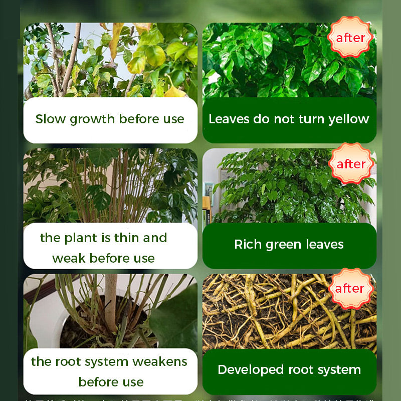 GreenBloom – Schnellwurzel- & Blühpulver | 1+1 GRATIS