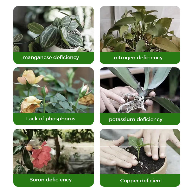 GreenBloom – Schnellwurzel- & Blühpulver | 1+1 GRATIS