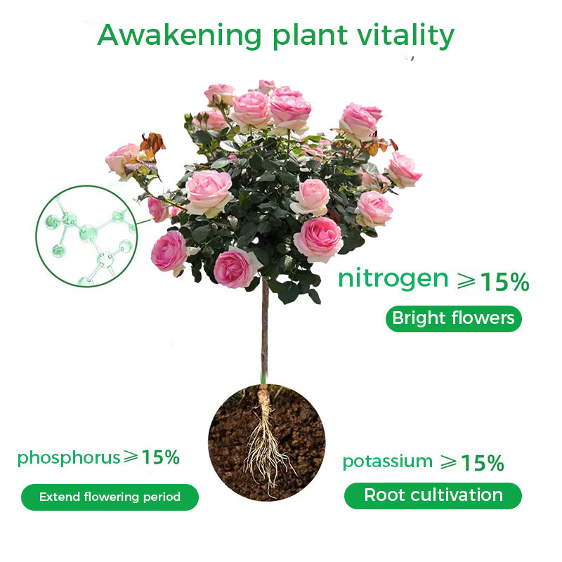 GreenBloom – Schnellwurzel- & Blühpulver | 1+1 GRATIS