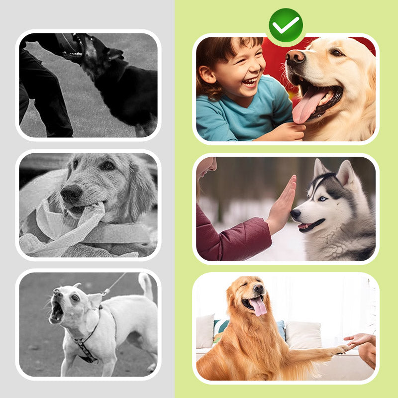 BarkStop – Sicher & Effektiv Hundetraining | 50% RABATT