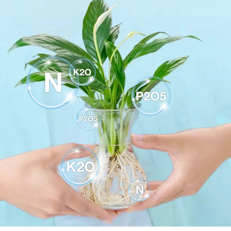 HydroGrow – Hydroponische Nährlösung | 1+2 GRATIS