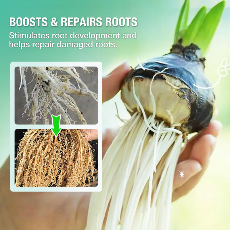 HydroGrow – Hydroponische Nährlösung | 1+2 GRATIS