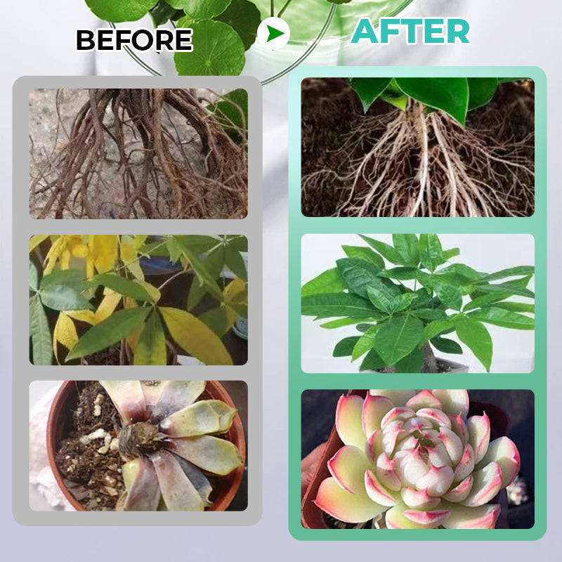 HydroGrow – Hydroponische Nährlösung | 1+2 GRATIS