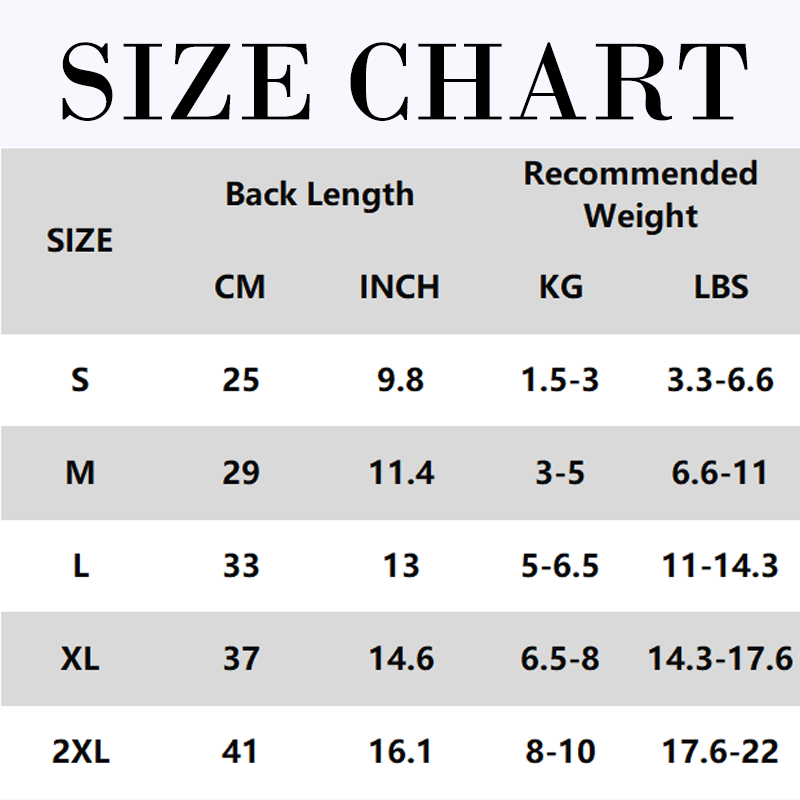 PawGuard – Staubdichte Outdoor-Hosen für Hunde