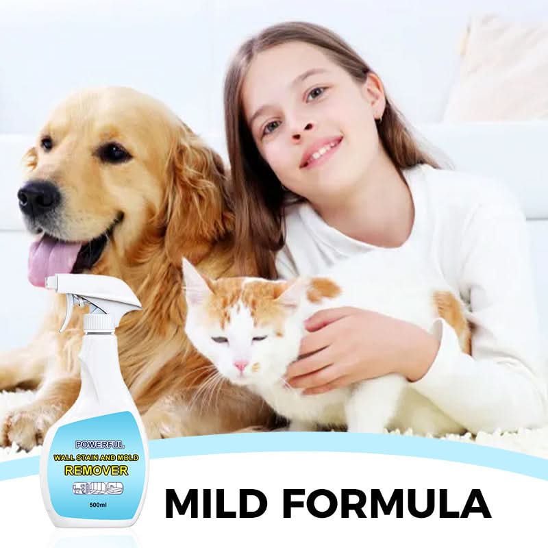 PowerClean – Leistungsstarker Wandflecken- & Schimmelentferner | 1+1 GRATIS
