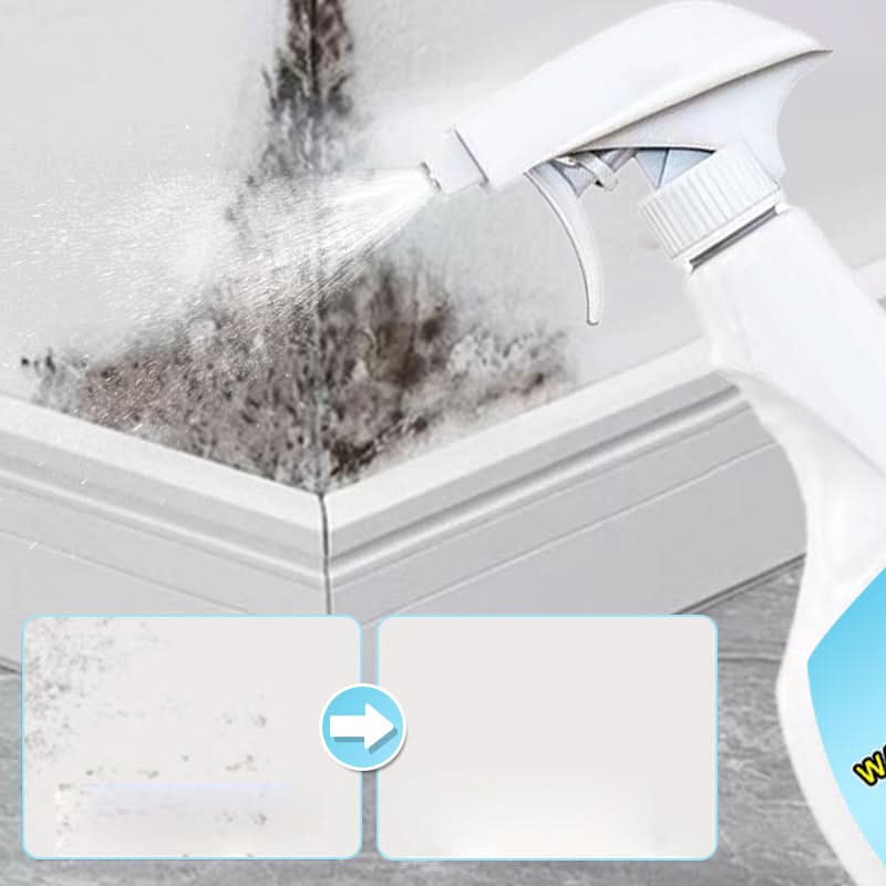 PowerClean – Leistungsstarker Wandflecken- & Schimmelentferner | 1+1 GRATIS
