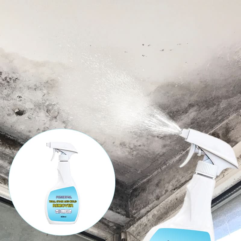 PowerClean – Leistungsstarker Wandflecken- & Schimmelentferner | 1+1 GRATIS
