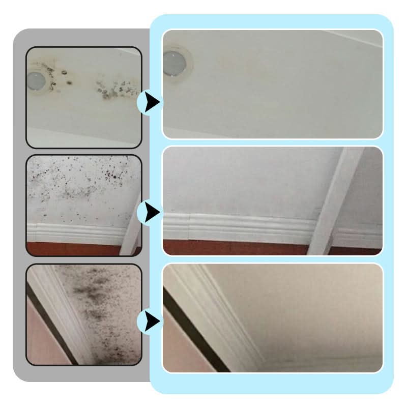 PowerClean – Leistungsstarker Wandflecken- & Schimmelentferner | 1+1 GRATIS