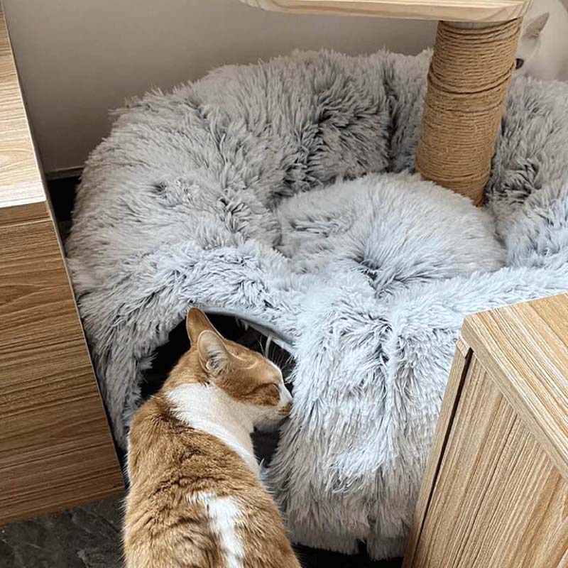 PurrLuxe – 2-in-1 Faltbares Katzentunnel-Bett