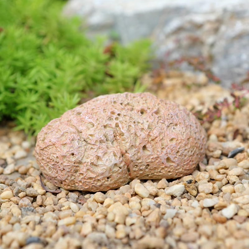 SafeStone – Versteckbox „Steinsimulation“