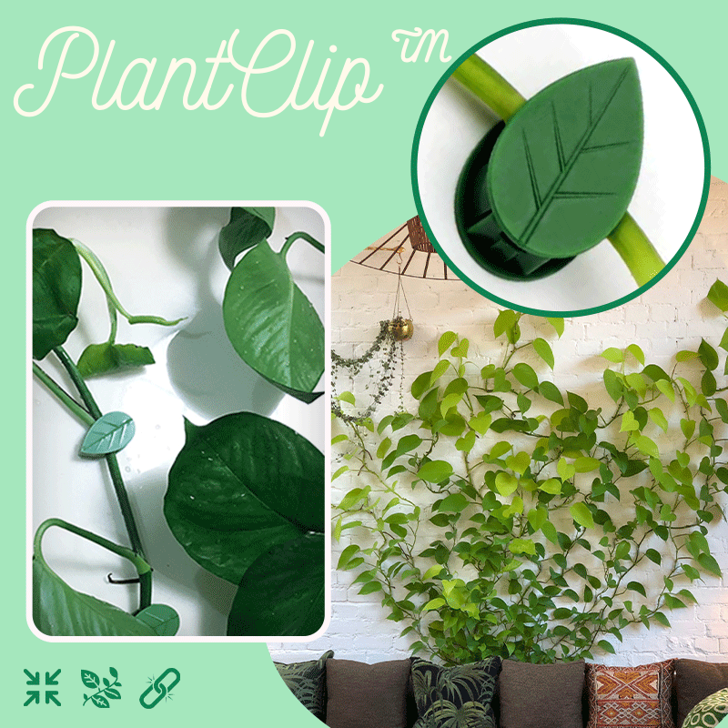 PlantClip™ - Kletterpflanzen Wandclip